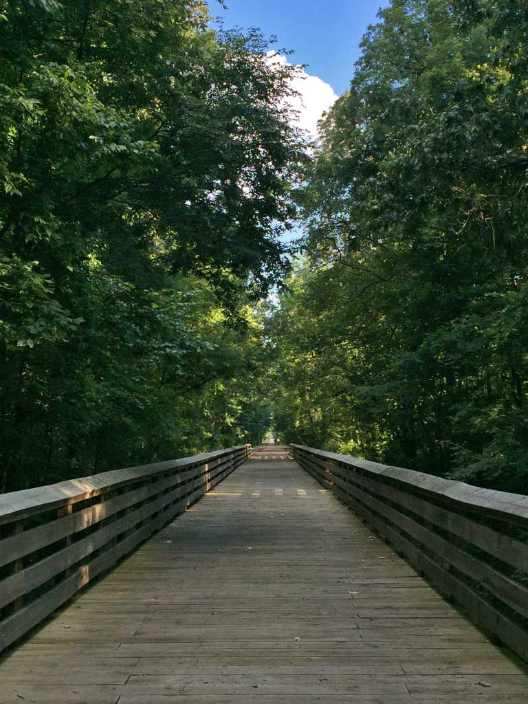 Biking the Tanglefoot Trail - mtbikefun.com